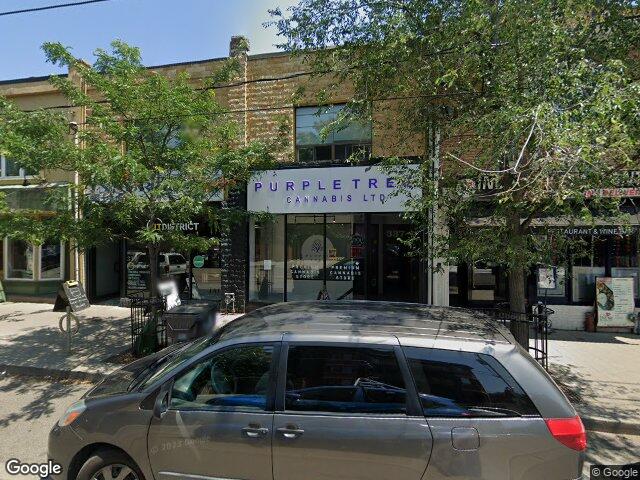 Street view for Purple Tree Cannabis, 337 Roncesvalles Ave, Toronto ON