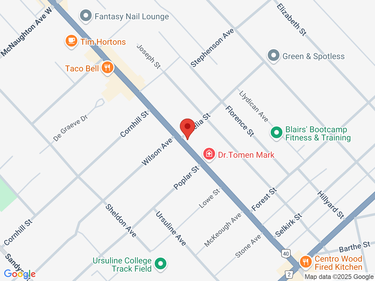 Street map for Discounted Cannabis, 229 St Clair St, Chatham ON