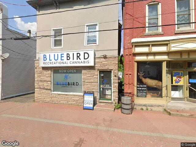 Street view for Bluebird Cannabis Co., 507 St Lawrence St, Winchester ON