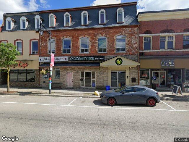 Street view for Golden Tree Cannabis, 214 Main St W Unit 2, Palmerston ON