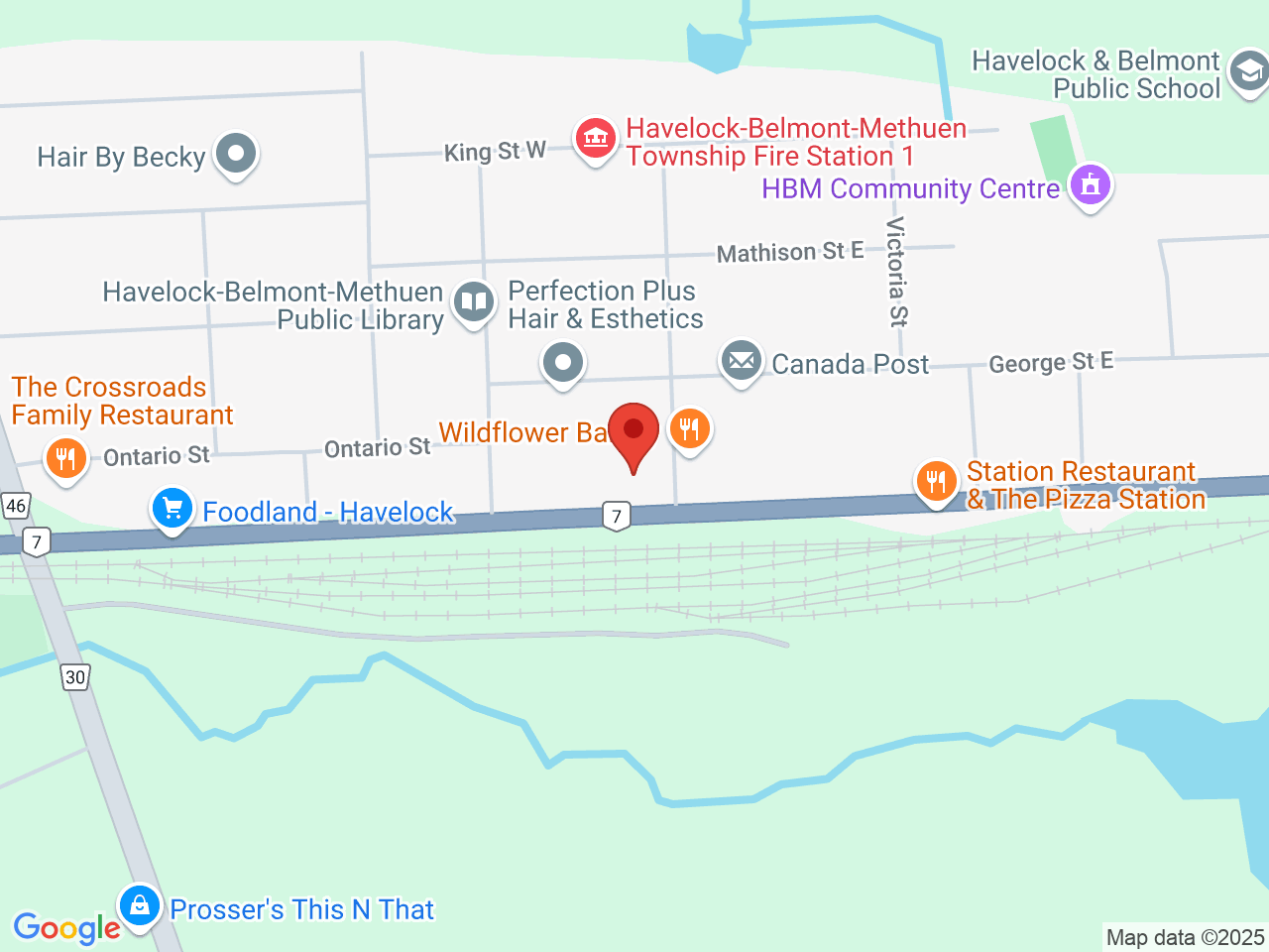 Street map for The Cannabis Forest, 2 Ottawa St W, Havelock ON