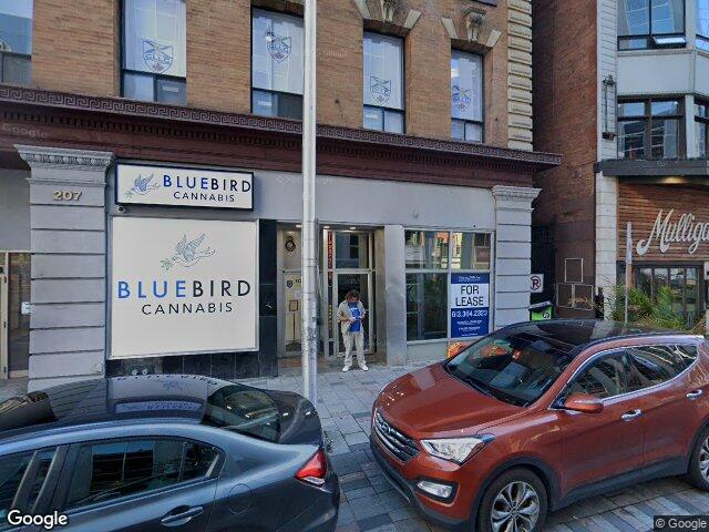 Street view for Bluebird Cannabis Co., 203 Queen St, Ottawa ON