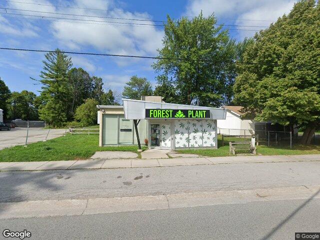 Street view for Forest Plant, 254 Pefferlaw Rd, Pefferlaw ON