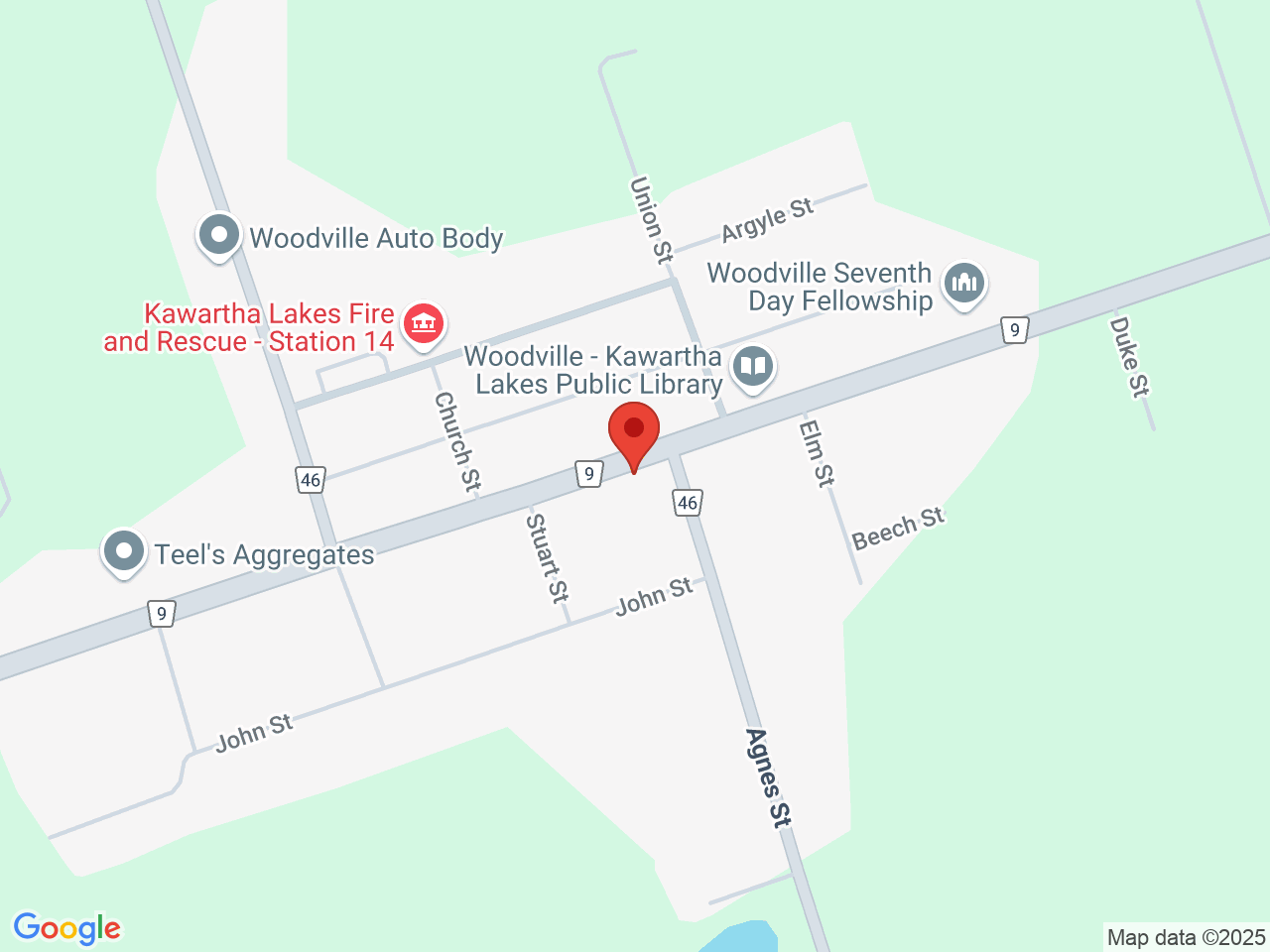 Street map for The Cannabis Connoisseur, 99 King St Unit C, Woodville ON