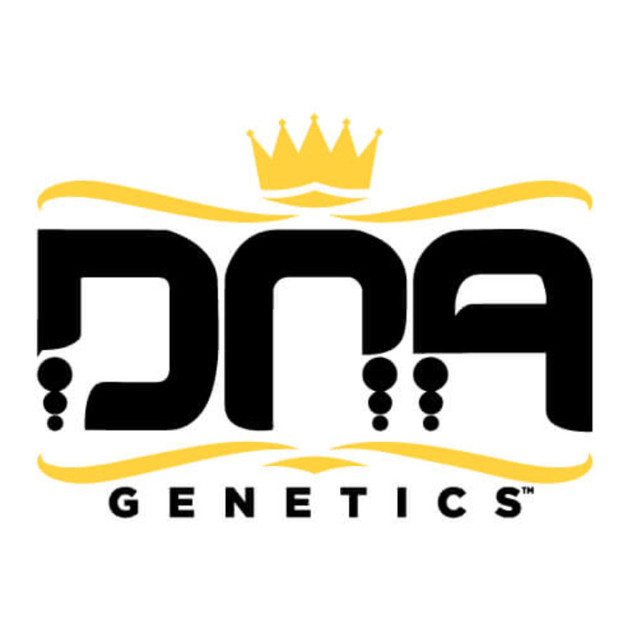 DNA Genetics Logo