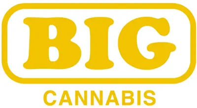 Logo for BIG