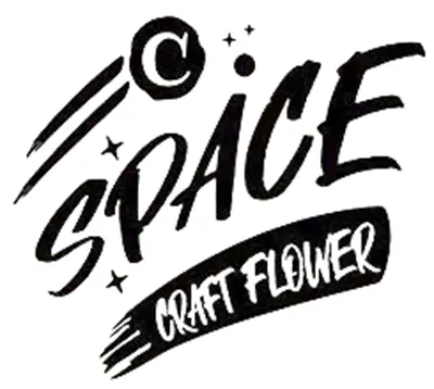 C Space Logo