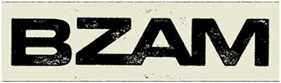 BZAM Management Inc. Logo