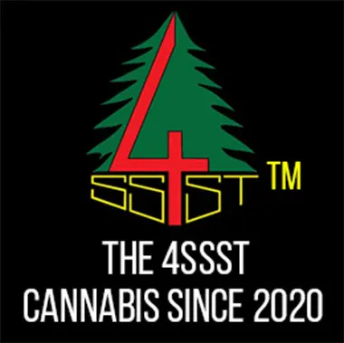 Logo image for The 4ssst