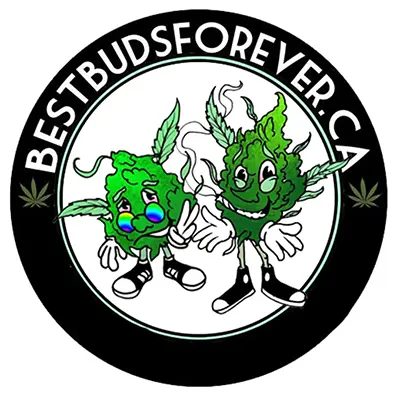 Logo image for Best Buds Forever, 191 Hurontario St #1, Collingwood ON