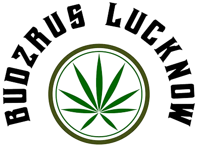 Budzrus Lucknow Logo