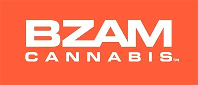 Logo image for Bzam