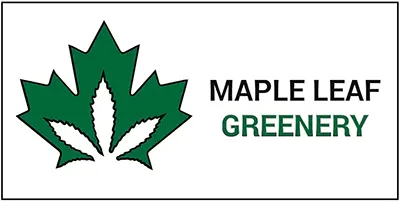 Maple Leaf Greenery Logo