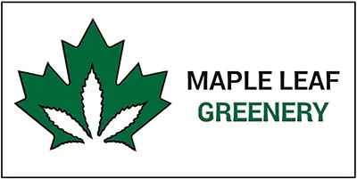 Logo image for Maple Leaf Greenery, 8322 Main St, Osoyoos BC