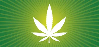 Logo image for Sexsmith Cannabis, Sexsmith, AB