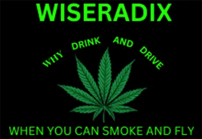 Wiseradix Logo
