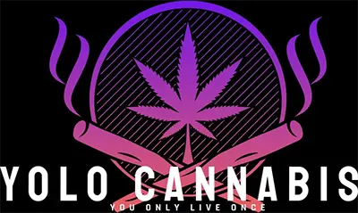 YOLO Cannabis Logo