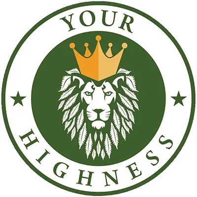 Logo image for Your Highness, Sarnia, ON