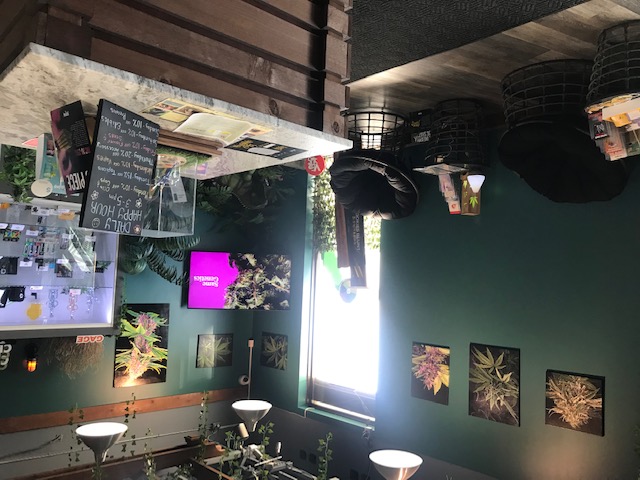 Store image for Tumblweedz, 2323 32 Ave NE #116, Calgary AB