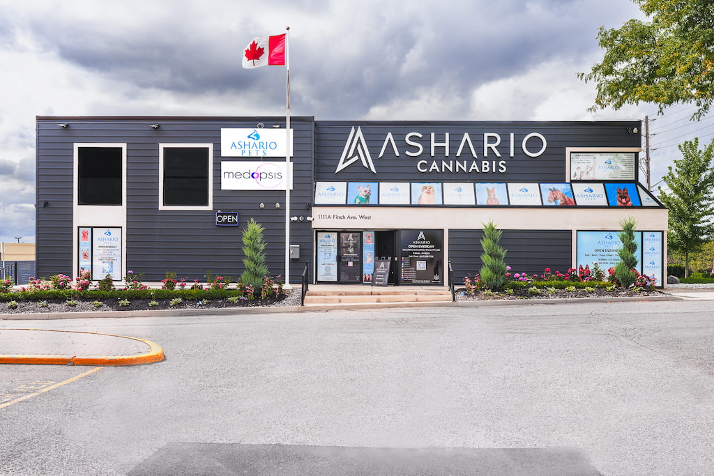 Store image for Ashario Cannabis 1111A Finch Ave W Unit 1, 1111A Finch Ave W Unit 1, North York ON