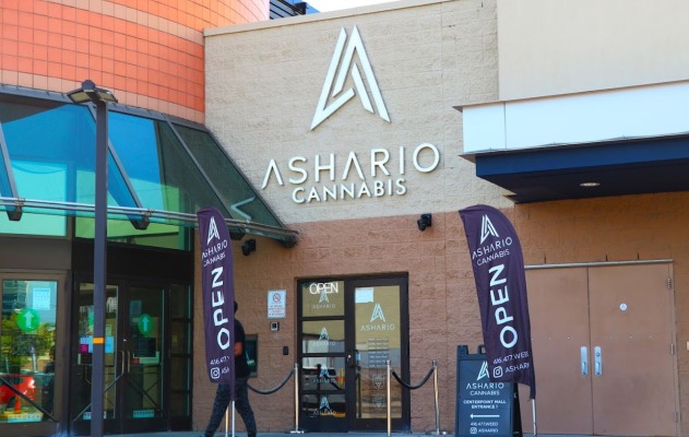 Store image for Ashario Cannabis Centerpoint Mall, 6464 Yonge St. Unit #187, North York ON