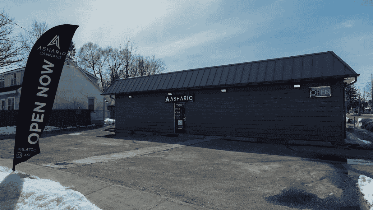 Store image for Ashario Cannabis, 239 Barrie St, Thornton ON